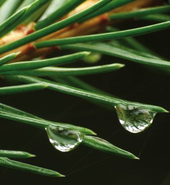 Wassertropfen